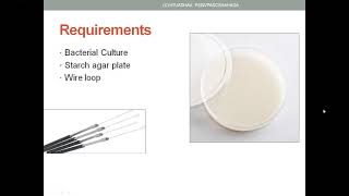 Screening of amylase producing microbesPractical [upl. by Lorak]