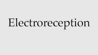 How to Pronounce Electroreception [upl. by Ttelrats370]