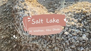 Salt Lake at Al Wathba Sabkha Abu Dhabi UAE [upl. by Nedrah]