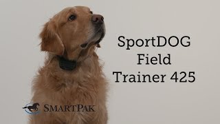 SportDOG Field Trainer 425 Review [upl. by Nnylatsyrk]