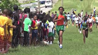 2018 BSSAC XC  U15 Girls 2k Finish [upl. by Ramu]