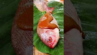 Spicy fish fry Kerala style grill asmrfood asmrfoods shorts ytshorts asmr [upl. by Luht]