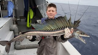 Lancetfish Why are these fish hunted 🐬 [upl. by Rexanne]