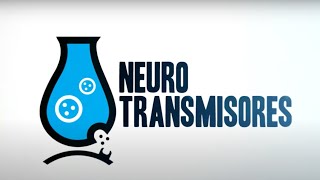 neurotransmisores prt 2 [upl. by Oralle238]