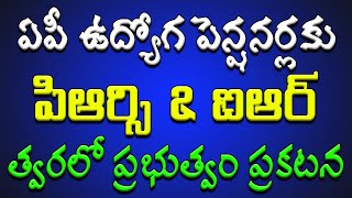 ఏపీ ప్రభుత్వ ఉద్యోగ పెన్షనర్లకు పిఆర్సి ఐఆర్ ప్రకటన [upl. by Mahseh]