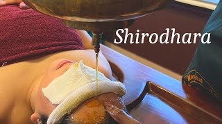 SHIRODHARA therapy experience in Kerala  Ayurvedic Therapies [upl. by Nalced]