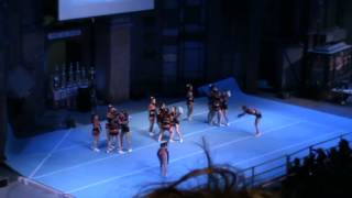 Youth Wildcats  Elite Cheerleading Championship 2013 [upl. by Lynnworth]