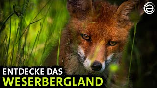 Das Weserbergland ‒ Sagenhaftes Niedersachsen  Erlebnis Erde [upl. by Yssirhc]