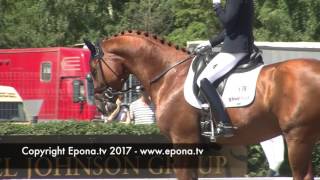 Falsterbo Horse Show warm up arena  2017 [upl. by Greeson]