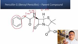 Medicinal Chemistry 3  Penicillins Structure Activity Relationship [upl. by Matthiew]