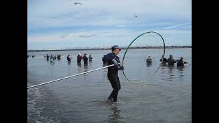 Kenai River Salmon Dipnetting [upl. by Ezarra]