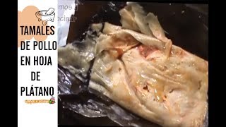 TAMALES DE POLLO EN HOJA DE PLÁTANO RECETA  Vamos a Cocinar [upl. by Arta]