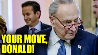 Chuck Schumer PULLS A FAST ONE On Republicans They Cant Keep Up [upl. by Corkhill]