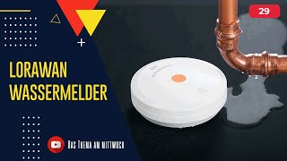 LoRaWAN Wassermelder Bausatz  ELVLWSWD [upl. by Hermon]