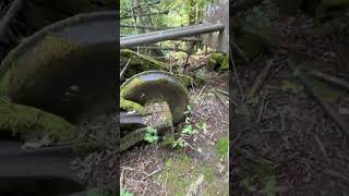 Abandoned railway cars in Maine’s north woods [upl. by Lorrin1]