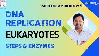 DNA Replication Biochemistry Malayalam Eukaryotic DNA Replication Malayalam Molecular Biology [upl. by Adnah]