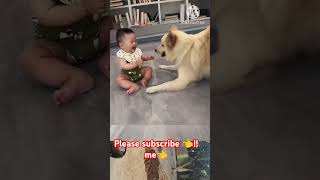 Child vs dog injoy parents virelshorts funny [upl. by Theta]