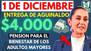 💵 1 de Diciembre Inicia el Pago de Pensión Bienestar y Aguinaldo 🕒 [upl. by Nnewg]