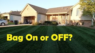 Will The Toro Lawn Striper Work With The Bag On The Mower [upl. by Mcclees]