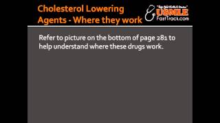 Cholesterol Lowering Agents  Where they work [upl. by Drannel876]