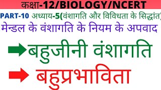 कक्षा12अध्याय5PART10बहुजीनी वंशागतिpolygenic inheritanceबहुप्रभाविताpleiotropy [upl. by Ahtnama]