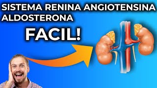 Sistema Renina Angiotensina Aldosterona Explicado Fácil y Sencillo [upl. by Alasteir]