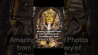 Amazing Colorized Photo of King Tutankhamuns Tomb shortsfeed history historical tomb shorts [upl. by Jobyna632]