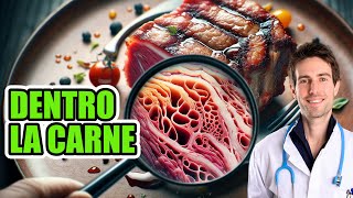 Mangiare una BISTECCA fa MALE Antibiotici ormoni e altre sostanze qual è la verità [upl. by Attennaej]