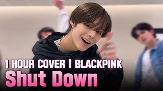 Dance Cover BLACKPINK  ‘Shut Down’ in 1 hour Pink Venom 1 hour cover challenge Trainee A [upl. by Catrina328]