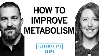 Simple Steps to Improve Your Metabolism  Dr Casey Means amp Dr Andrew Huberman [upl. by Harrell]