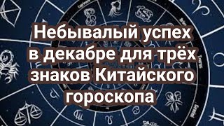 Эти три знака Зодиака по Китайскому гороскопу ждёт ошеломительный успех [upl. by Atiuqin33]