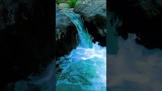 Natures Harmony River amp Bird Sounds for Stress Relief Relaxation amp Focus [upl. by Goldberg]