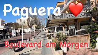 Paguera ❤️ Morgenstund 😃 Boulevard ❤️ Mallorca startet 🇪🇸 alles putzt 👍 Sonne pur ☀️top Ort ❤️ [upl. by Ardnuasac]