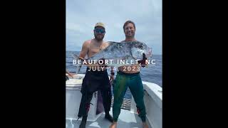 Spearfishing African Pompano and Vermilion Snapper Beaufort Inlet North Carolina [upl. by Ettolrahs754]