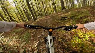 Borsuk  najszybszy bielski dzikus  20102024  GoPro Hero11 Black POV  Enduro MTB [upl. by Shirlie]