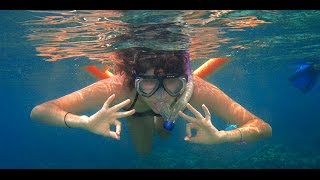 Snorkeling in Red Sea  Colorful Fishes [upl. by Kristi120]