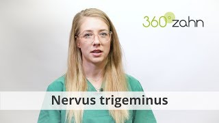 Nervus trigeminus  Was ist der Nervus trigeminus  DentalLexikon  360°zahn [upl. by Nicolina]