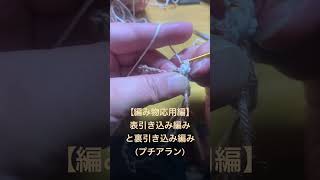 【編み物応用編】表引き込み編み＆裏引き込み編みプチアラン編み物かぎ編み初心者毛糸 [upl. by Alim]