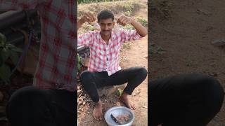 Chicken biryani 🍗biryanishortyoutubevillagevlogsvillageshorts [upl. by Hadwyn]