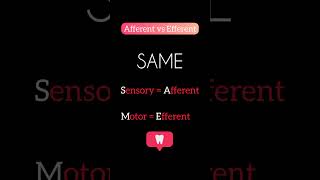 Afferent Vs Efferent Mnemonic [upl. by Adnertal243]