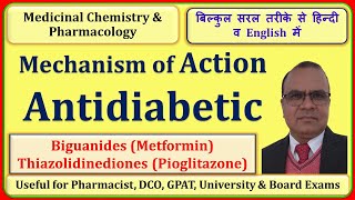 Mechanism of Action for Antidiabetic Drugs  Biguanides and Thiazolidinedione [upl. by Smitty47]