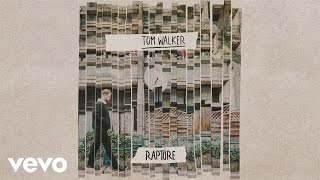 Tom Walker  Rapture Audio [upl. by Mavis778]