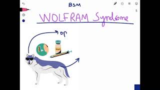 Wolfram Syndrome Mnemonic PLABUSMLEMCCQEMSRA [upl. by Addiego]