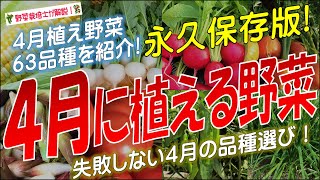 4月に植える野菜（63品種）永久保存版 [upl. by Hertha]