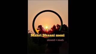 Mahri Dhaani meni slowed  reveb  haryanvi song haryanvi mahri dhhani viral song ronakjaat [upl. by Oringa173]