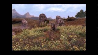 Tamriel Reloaded Grasses Plants and Shrubs [upl. by Arden]