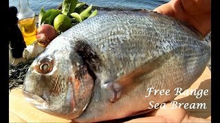 BEST Sea Salt Crusted Free Range SEA BREAM  Cooking on the Beach [upl. by Llertram]