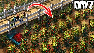 I STARTED THE RICHEST TOMATO FARM ft FrankieOnPCin1080p [upl. by Forward]