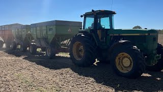 Cutting Soybeans 24 [upl. by Travus]