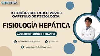 FISIOLOGÍA HEPÁTICA  Tutorías del ciclo regular 2024  1 5062024 [upl. by Nitsoj]